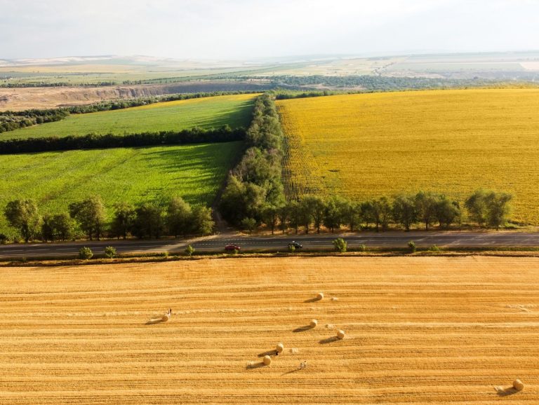 actualidad-agraria-reforma-pac-agricultores-ganaderos