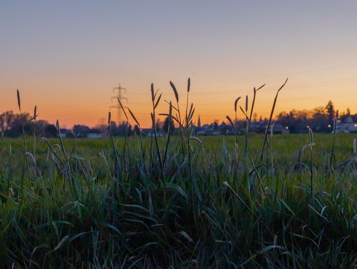 ASAJA CLM reclama claridad y urgencia en la normativa para cosechar con riesgo extremo dentro de la actualidad agraria regional