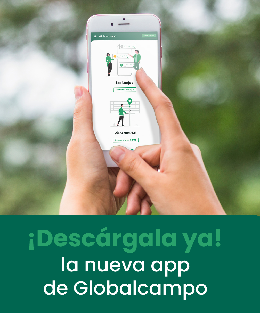 App Globalcampo