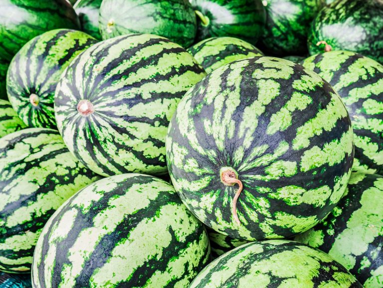 actualidad-agraria-melon-sandia-castilla-la-mancha-precios-por-debajo-costes