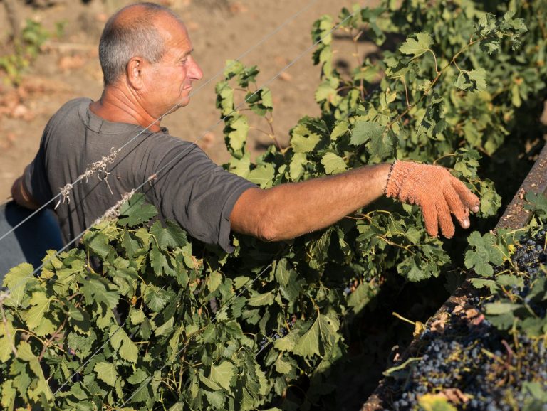 precio-tierra-2024-actualidad-agraria-espana