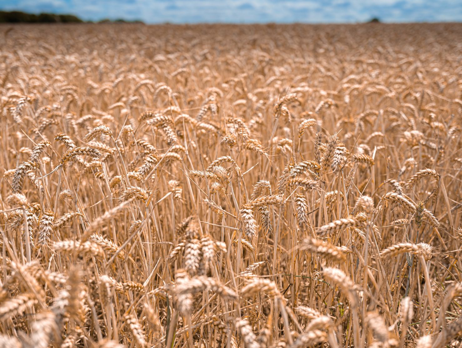 actualidad-agraria-pac-mas-fondos-caracter-europeo