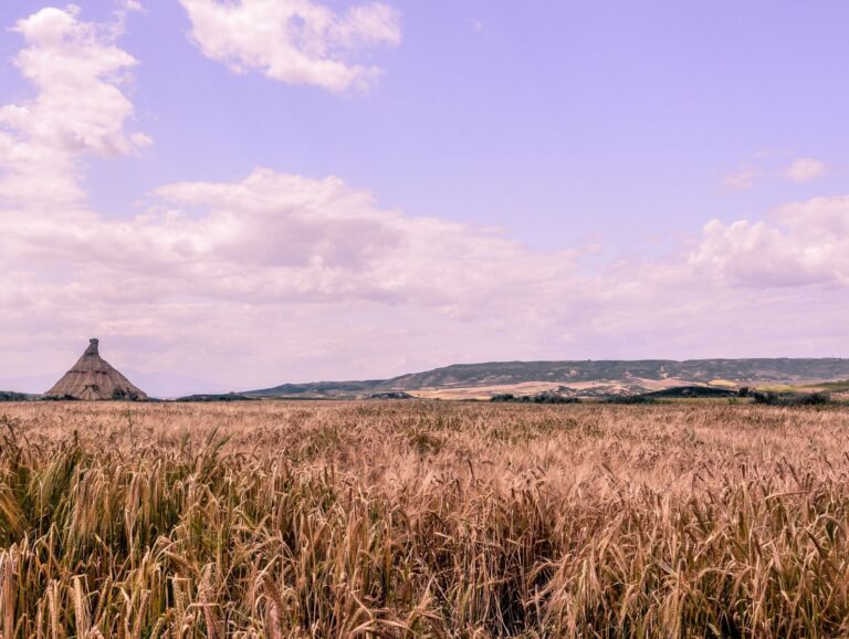 actualidad-agraria-clm-bruselas-reivindicaciones-campo