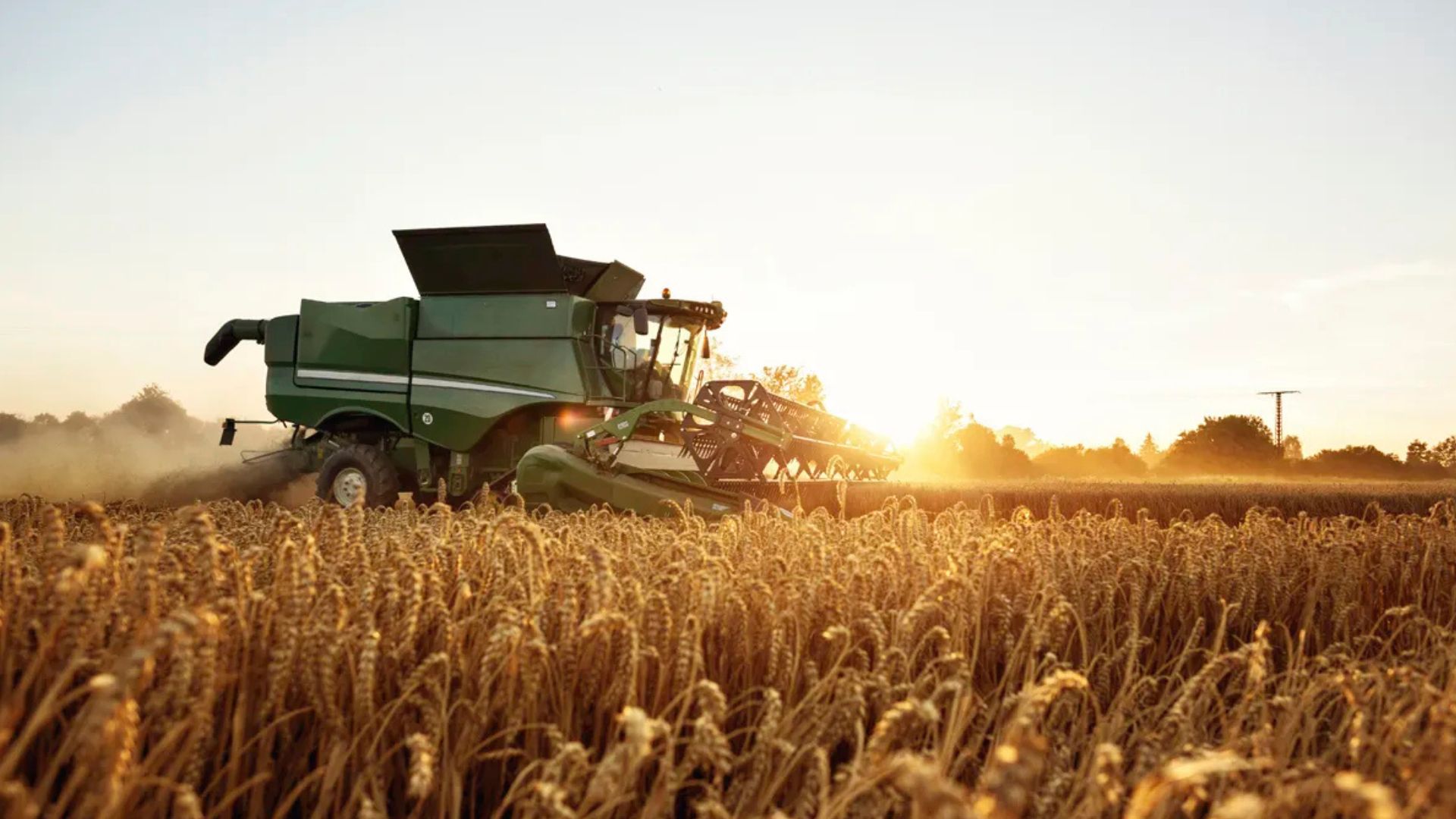 expo-sagris-2025-madrid