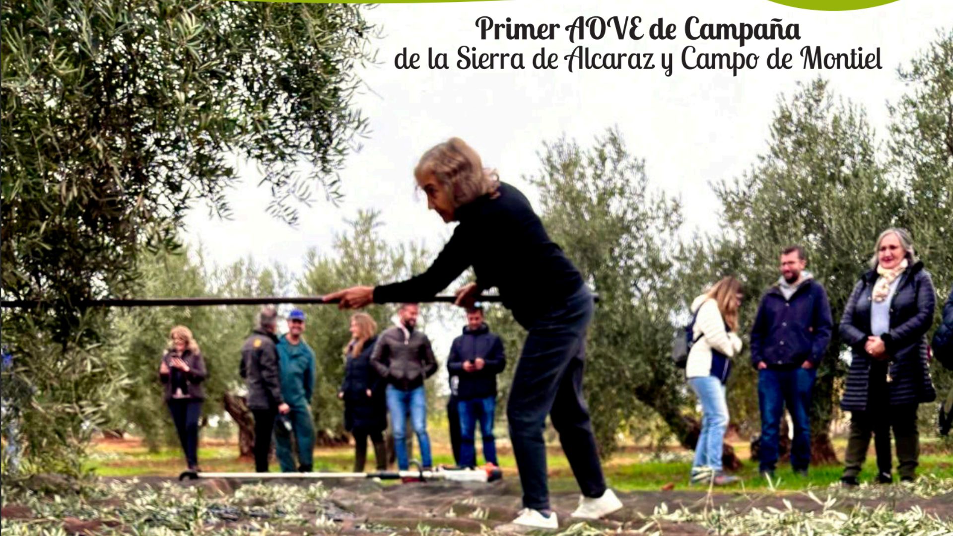 oleoturismo-sierra-de-alcaraz-2025-jornadas-aove