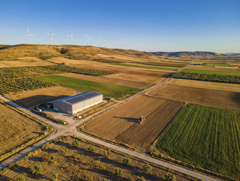 Impacto ambiental y transición ecológica en el medio rural de España
