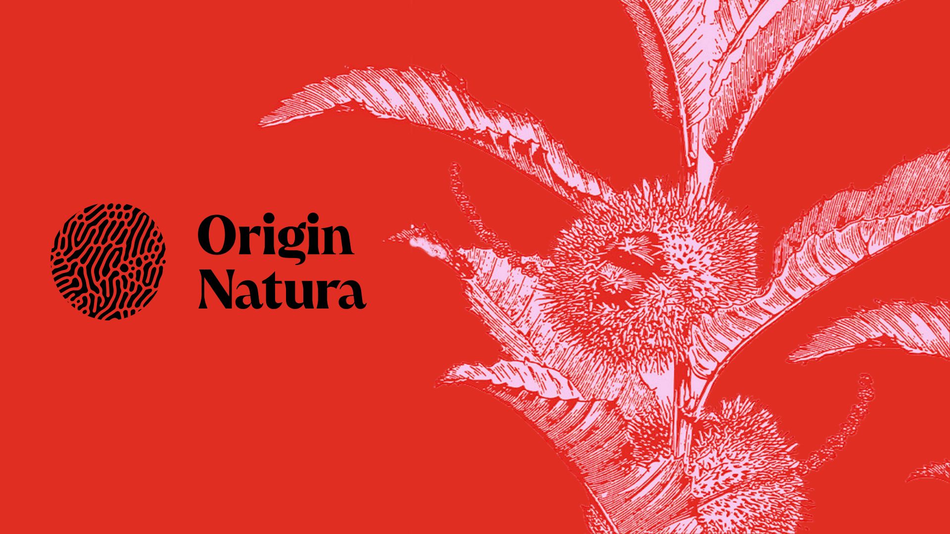 origin-natura-2026-feria-ingredientes-naturales-madrid