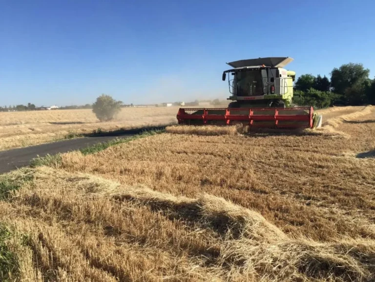 Este texto debe describir la imagen para accesibilidad y SEO, integrando la palabra clave y los elementos contextuales clave (el tipo de maquinaria y la región).