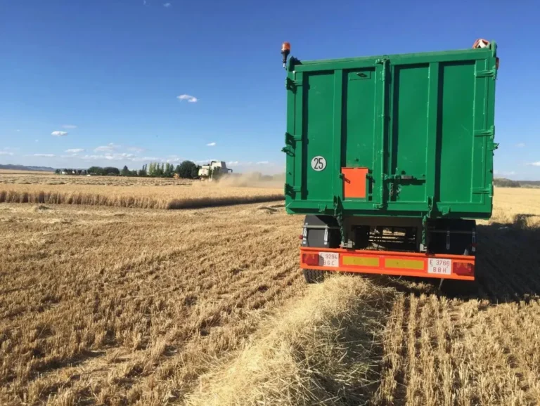 Un remolque agrícola verde cargado de grano en primer plano, con una cosechadora trabajando al fondo en un campo de trigo dorado bajo un cielo azul. Esta imagen ilustra la actividad del sector agrario beneficiado por las ayudas estatales detalladas por Globalcampo debido al conflicto en Irán.