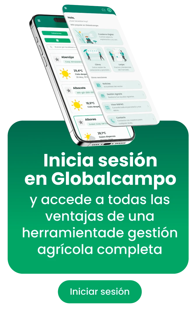 Globalcampo banner internas