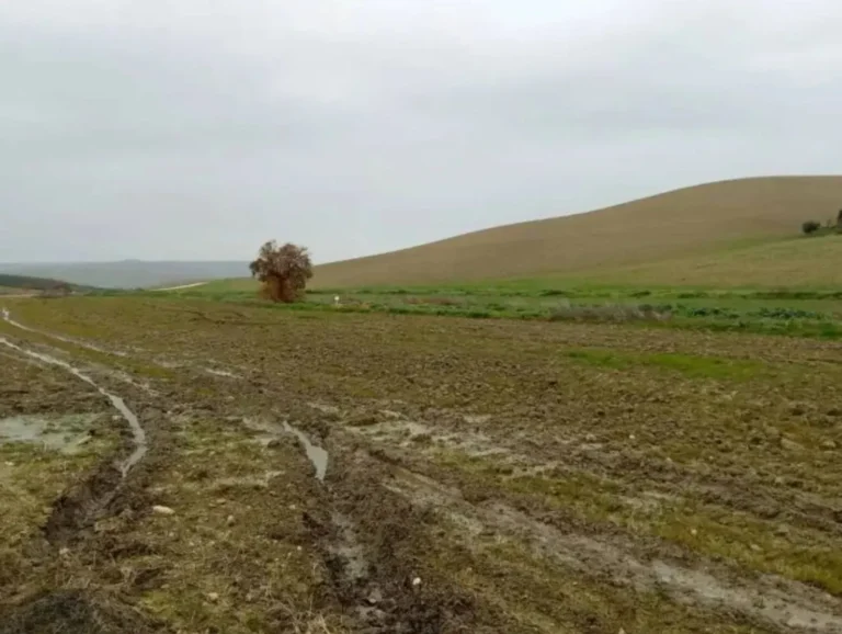 Hacienda publica la orden de módulos para agricultores y ganaderos del IRPF 2025 Vista de un campo de cultivo en Castilla-La Mancha, ilustrando los sectores agrícolas beneficiados por las rebajas fiscales del IRPF.