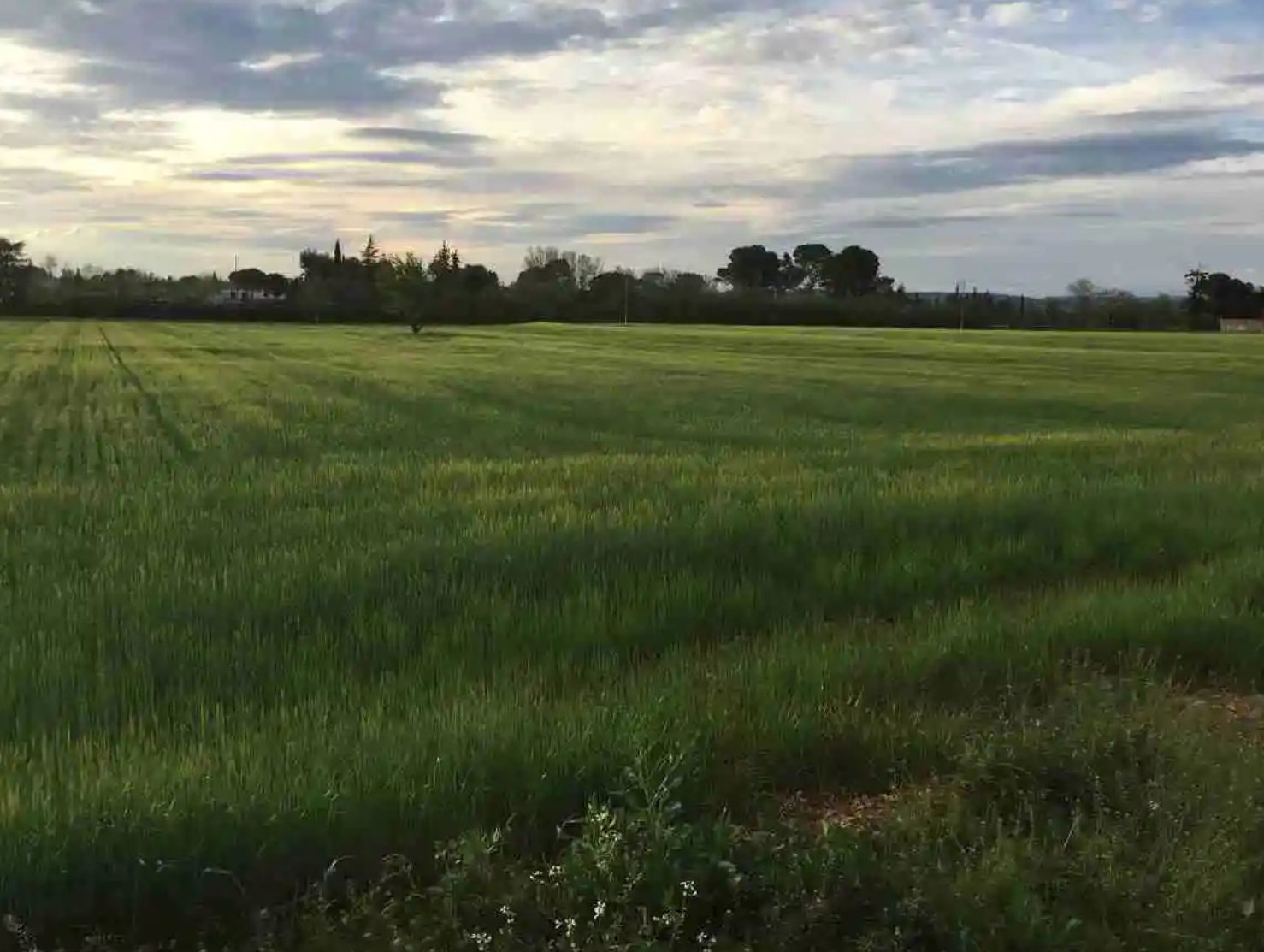 ¿Qué contempla el plan de fertilizantes de la Comisión Europea?