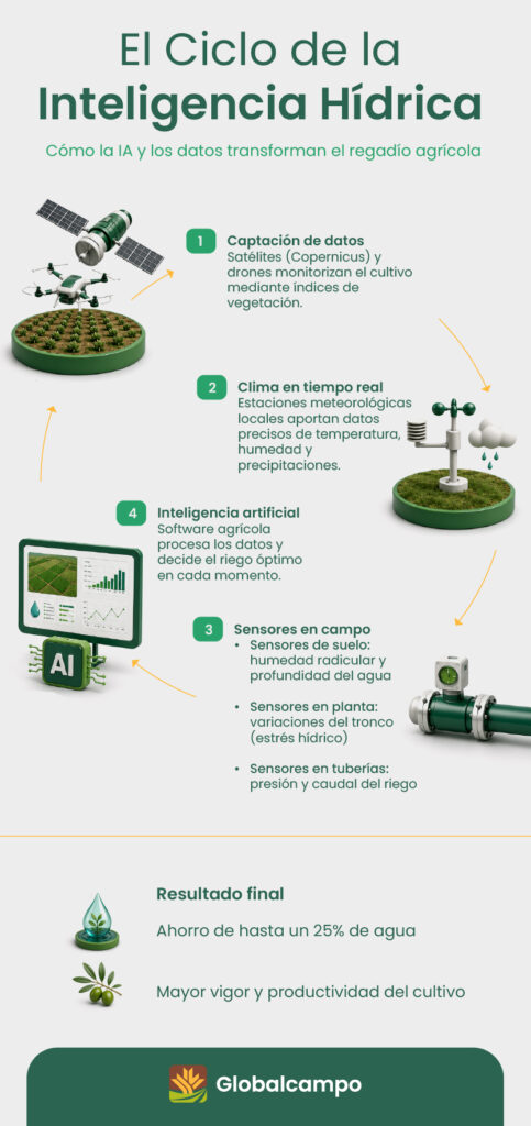 Inteligencia hídrica en el regadío con sensores IA y datos agrícolas