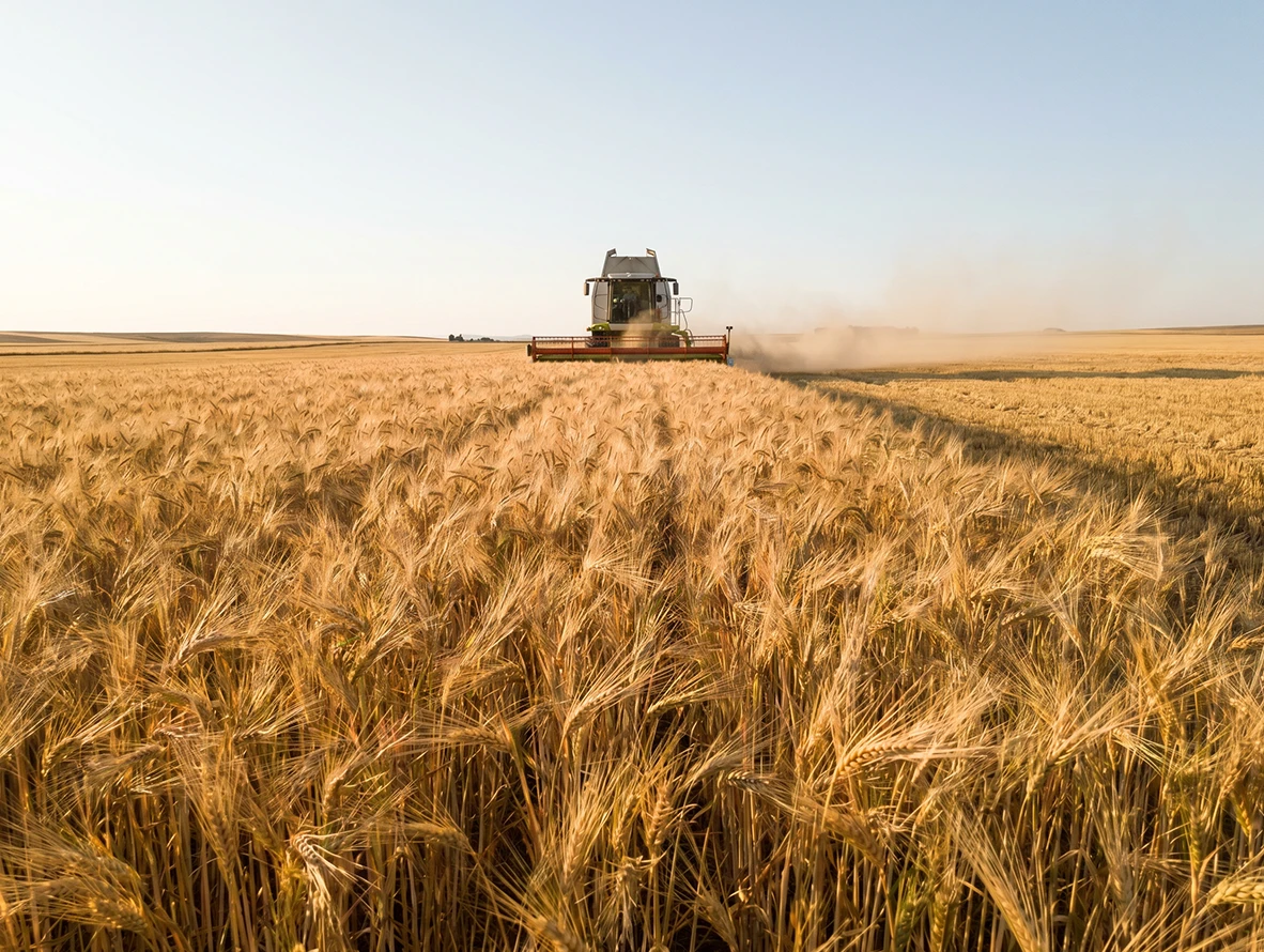 Cosecha en Castilla-La Mancha 2026: claves para mejorar la rentabilidad y optimizar la recolección