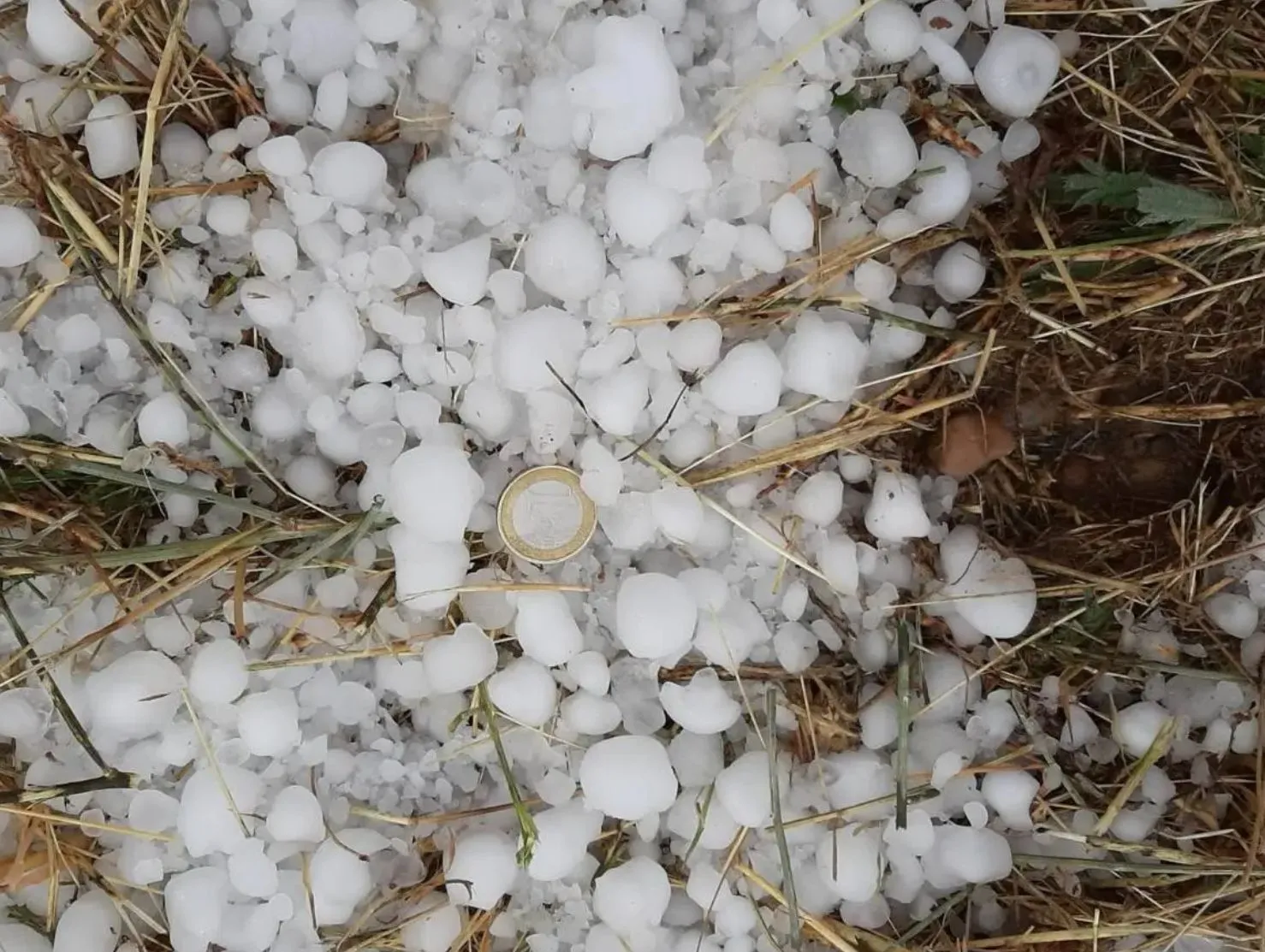 Las tormentas de agosto se ceban con los cultivos de Cuenca y Albacete