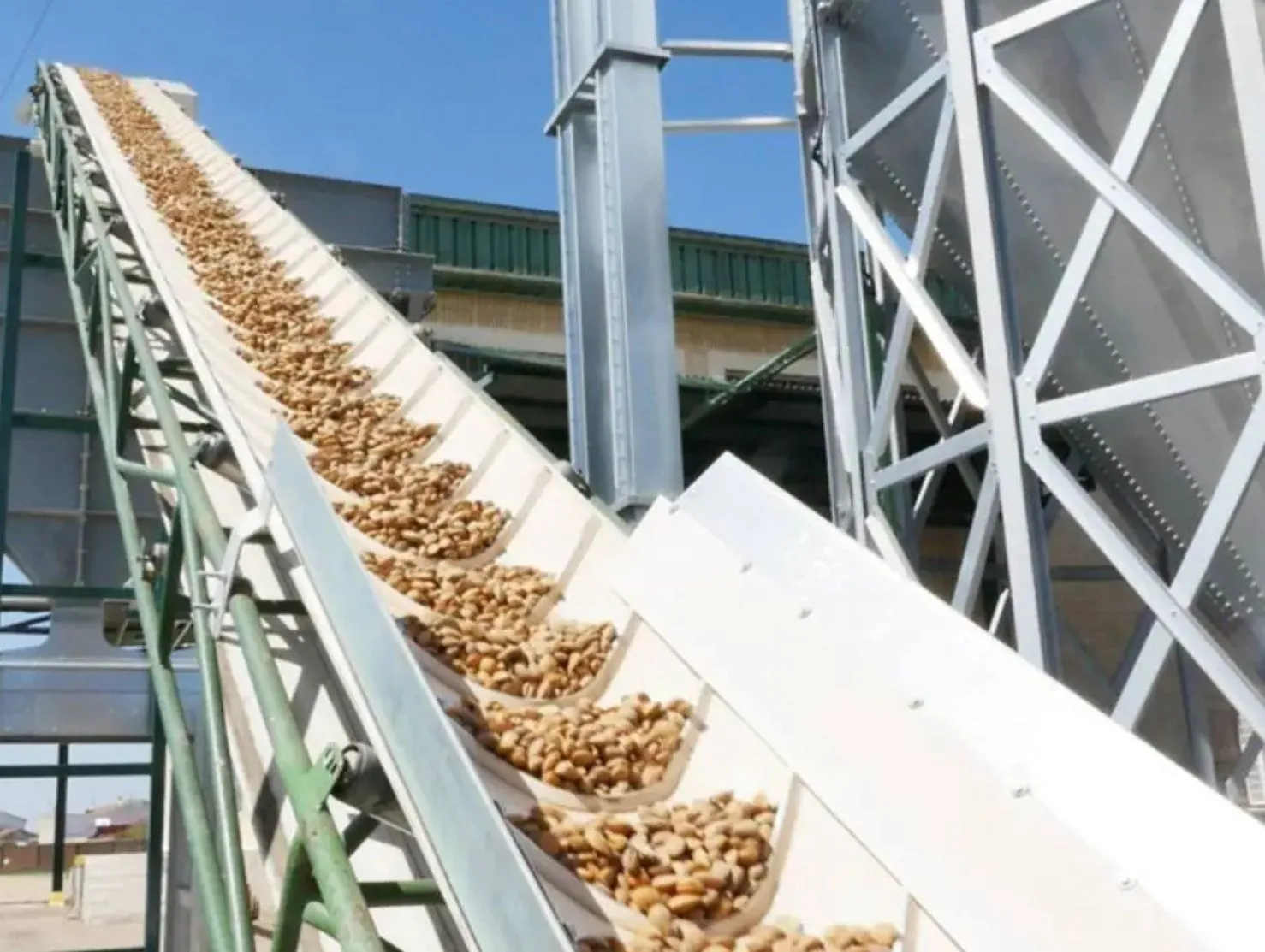 Ya hay precios para la almendra, en una campaña corta de producción